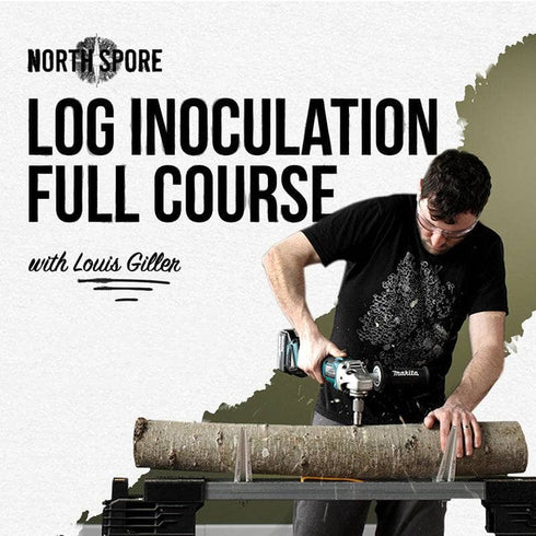 VIRTUAL CLASS: Beginner’s Guide to Mushroom Log Inoculation